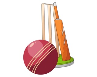 Box Cricket
